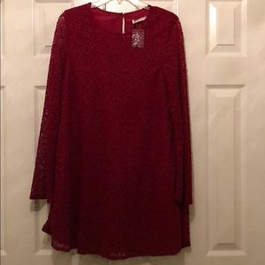 NWT Love Riche lace shift dress with long sleeves